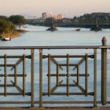 0909F 145 Rhein bei Mainz